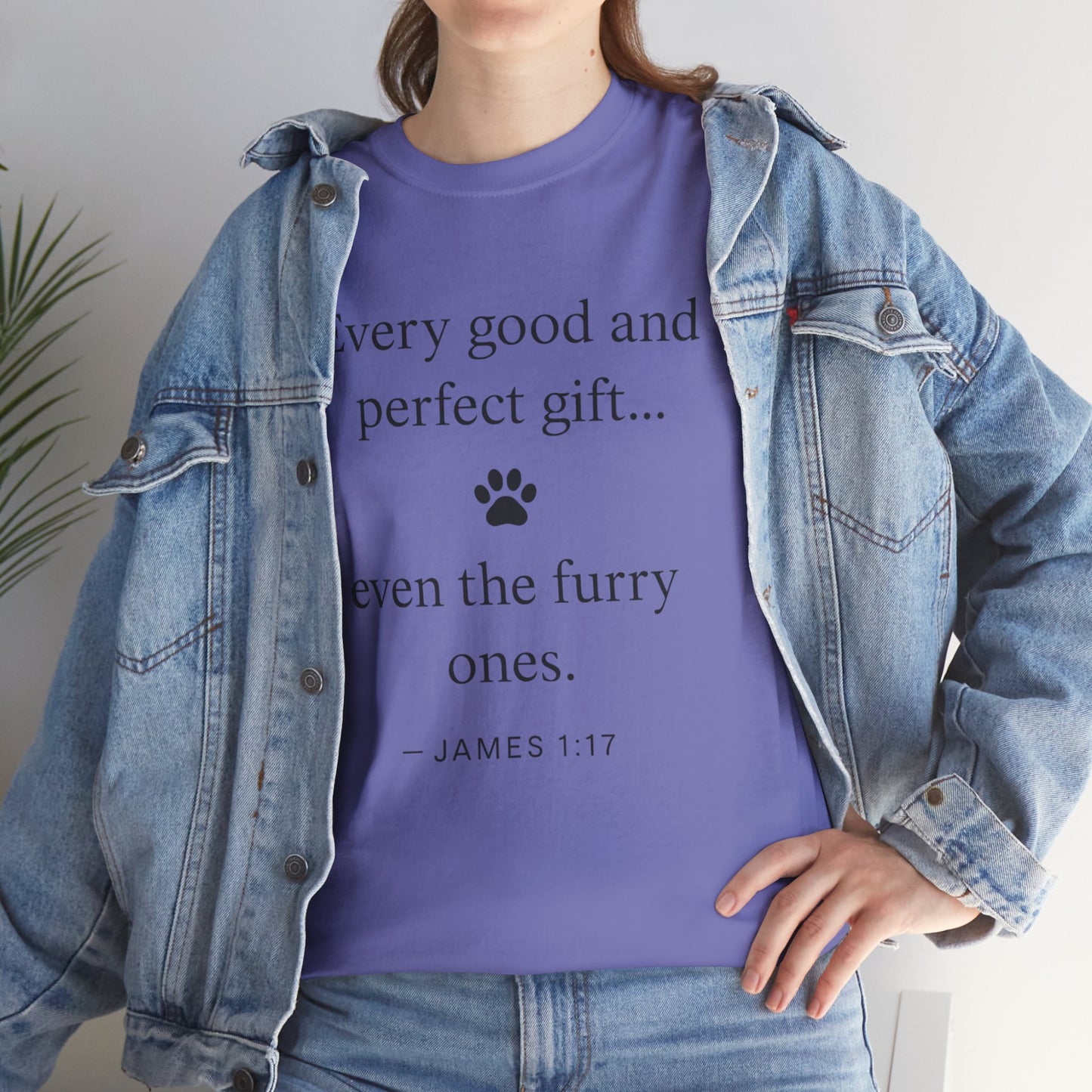 Every Good and Perfect Gift Pet Lover Shirt | James 1:17 Bible Verse Tee