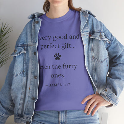 Every Good and Perfect Gift Pet Lover Shirt | James 1:17 Bible Verse Tee