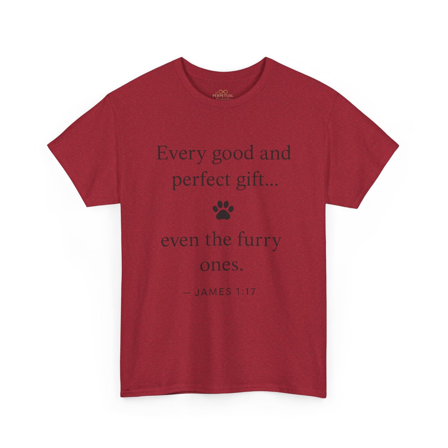 Every Good and Perfect Gift Pet Lover Shirt | James 1:17 Bible Verse Tee
