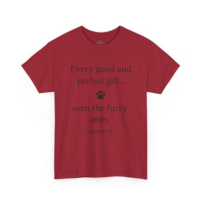 Every Good and Perfect Gift Pet Lover Shirt | James 1:17 Bible Verse Tee