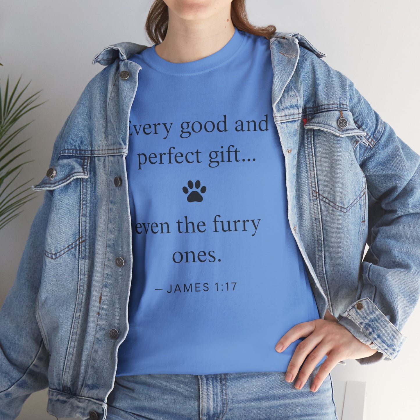 Every Good and Perfect Gift Pet Lover Shirt | James 1:17 Bible Verse Tee