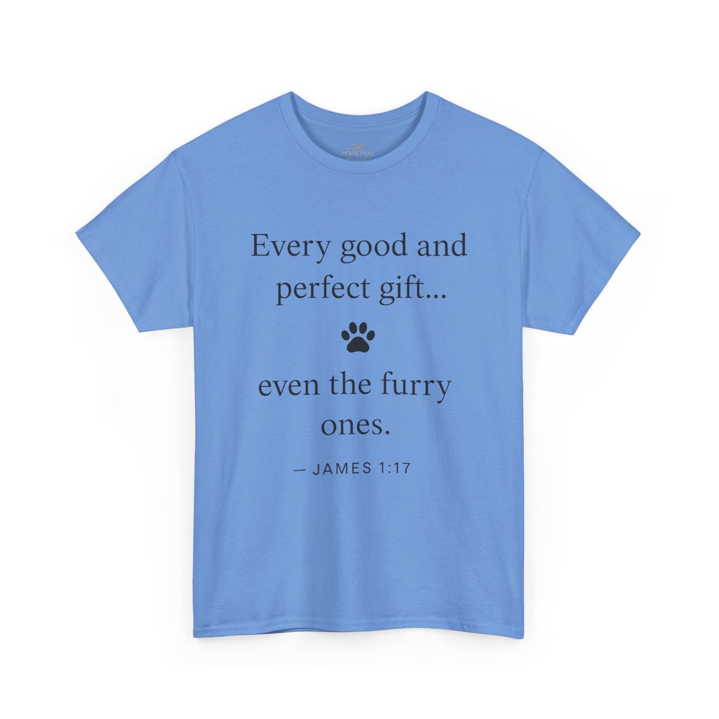 Every Good and Perfect Gift Pet Lover Shirt | James 1:17 Bible Verse Tee