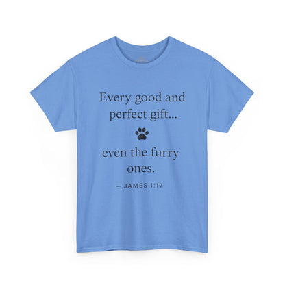 Every Good and Perfect Gift Pet Lover Shirt | James 1:17 Bible Verse Tee