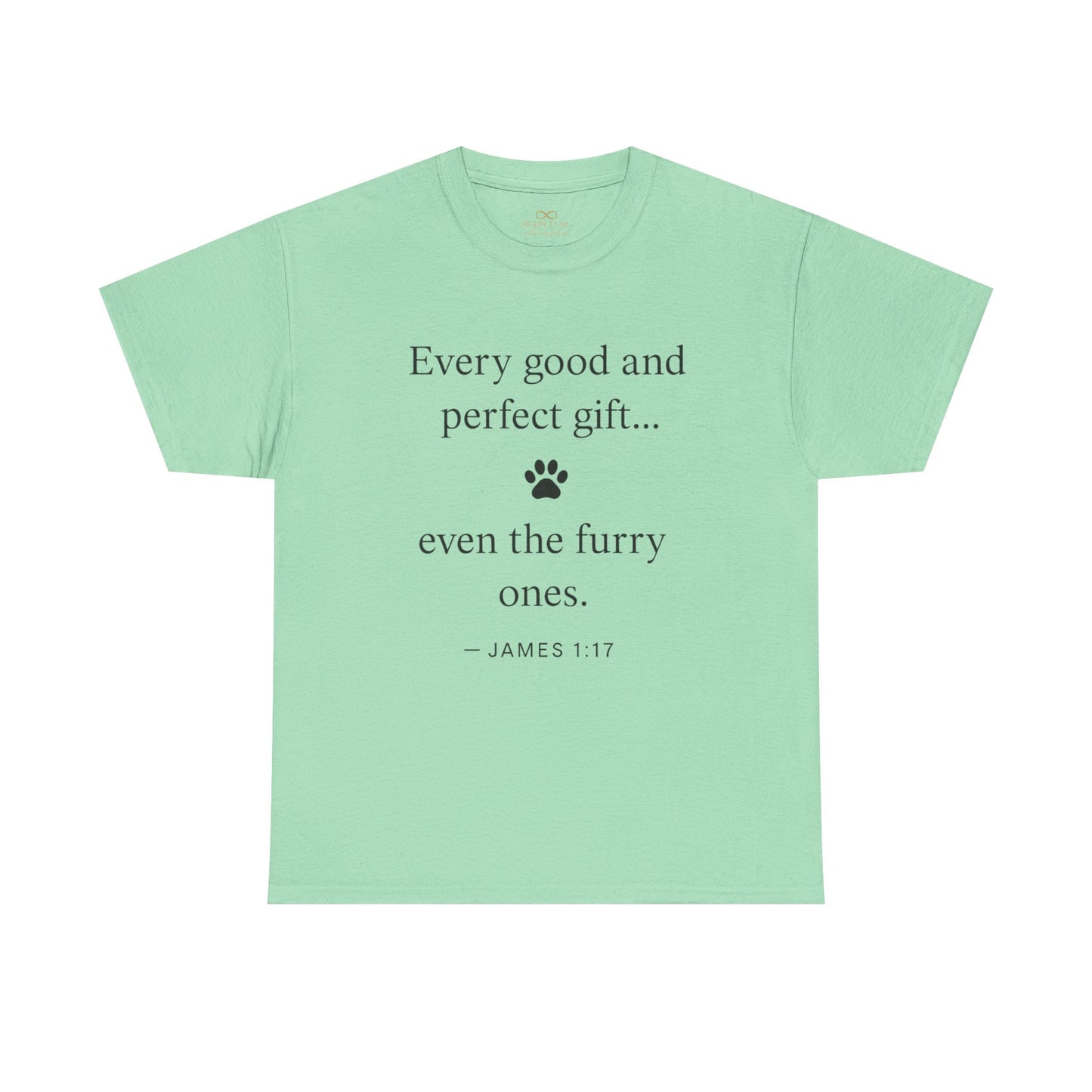Every Good and Perfect Gift Pet Lover Shirt | James 1:17 Bible Verse Tee