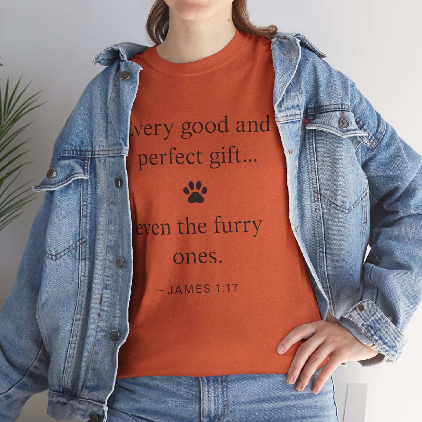 Every Good and Perfect Gift Pet Lover Shirt | James 1:17 Bible Verse Tee