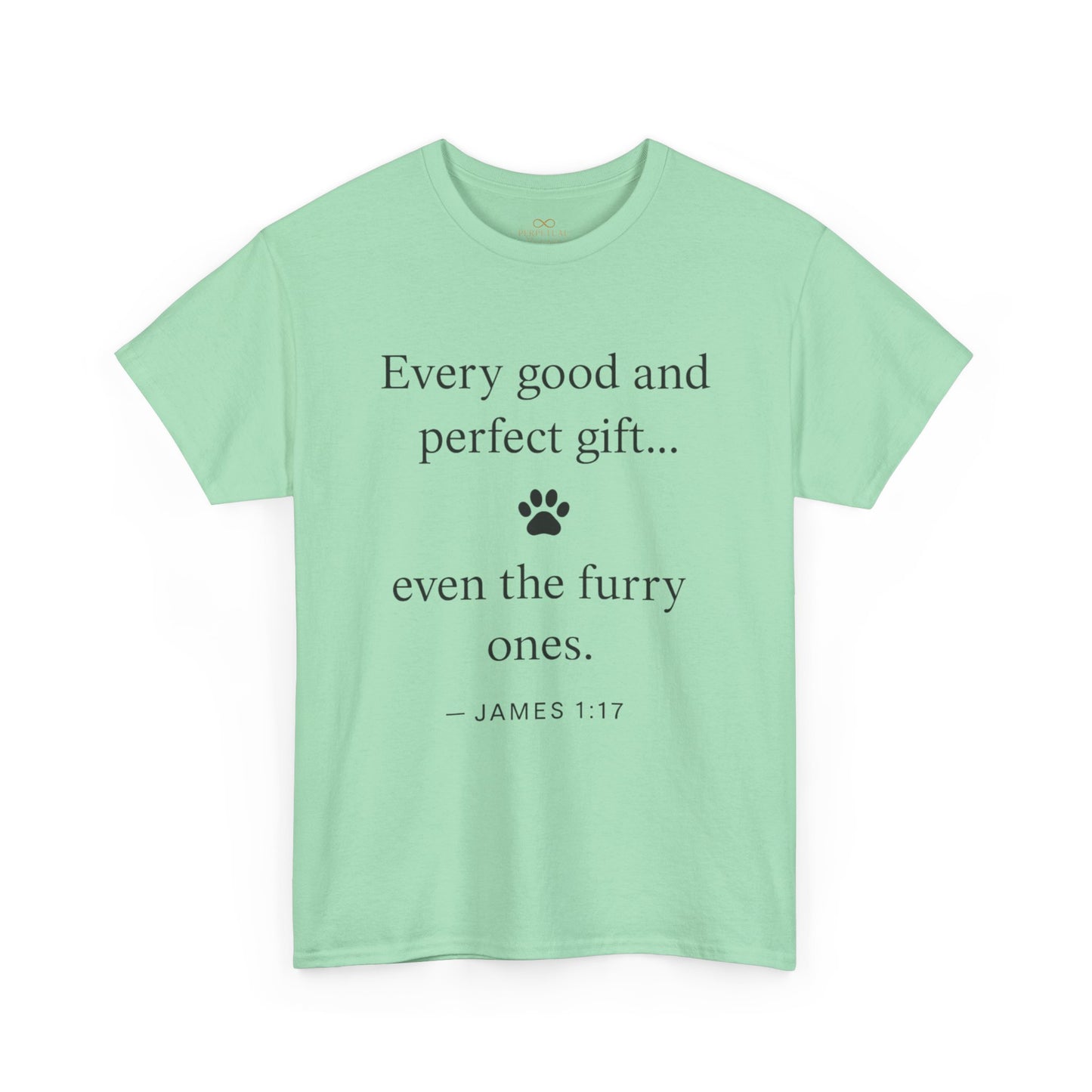 Every Good and Perfect Gift Pet Lover Shirt | James 1:17 Bible Verse Tee