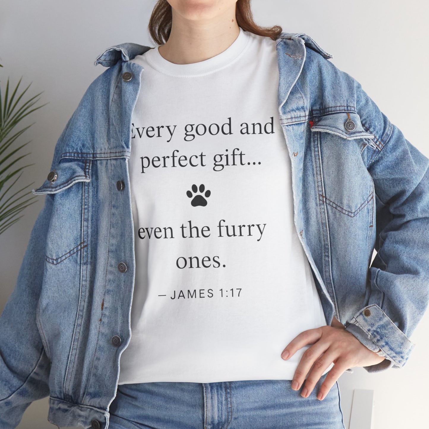 Every Good and Perfect Gift Pet Lover Shirt | James 1:17 Bible Verse Tee