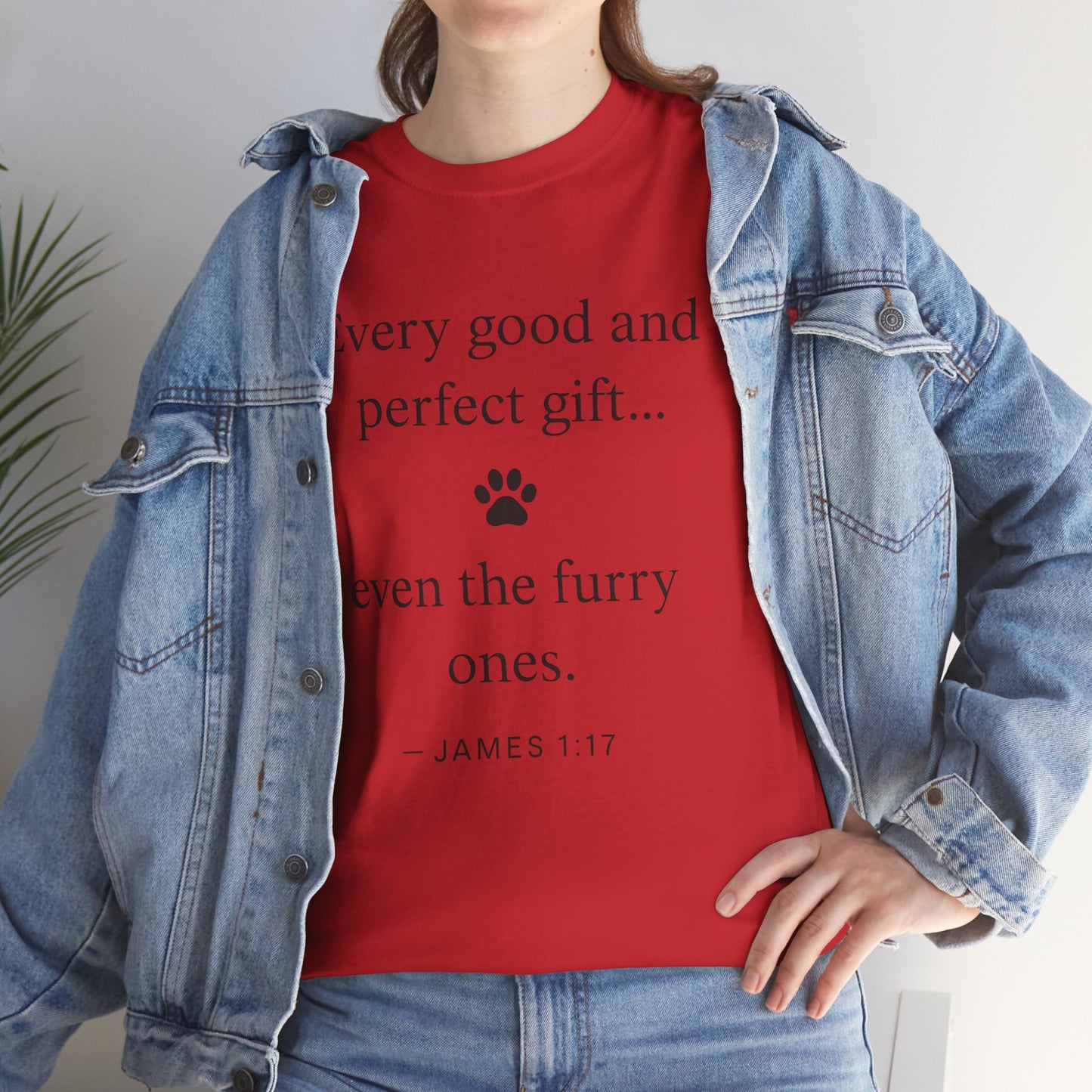 Every Good and Perfect Gift Pet Lover Shirt | James 1:17 Bible Verse Tee