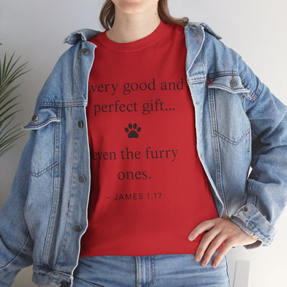 Every Good and Perfect Gift Pet Lover Shirt | James 1:17 Bible Verse Tee