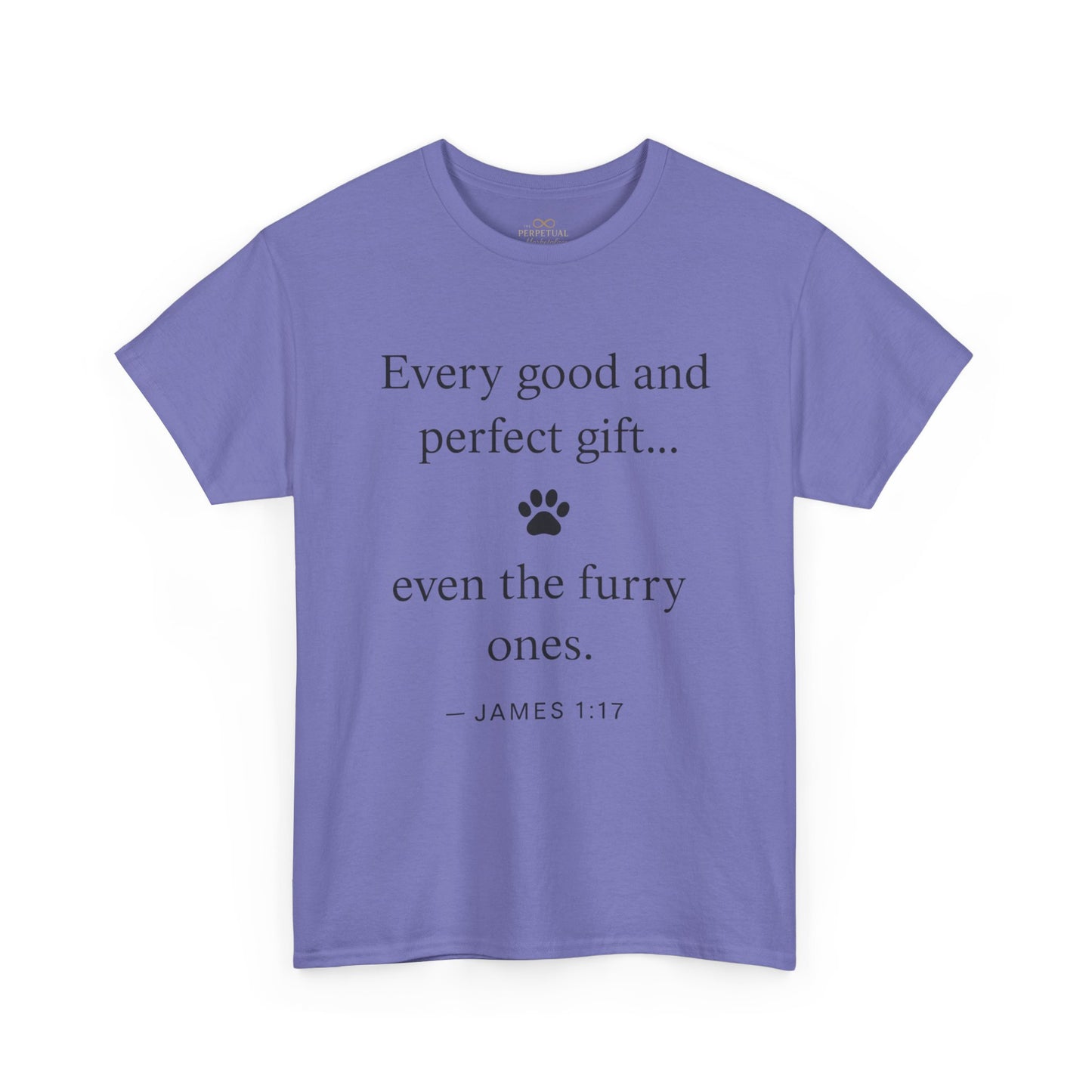 Every Good and Perfect Gift Pet Lover Shirt | James 1:17 Bible Verse Tee