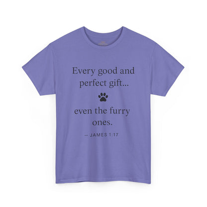 Every Good and Perfect Gift Pet Lover Shirt | James 1:17 Bible Verse Tee