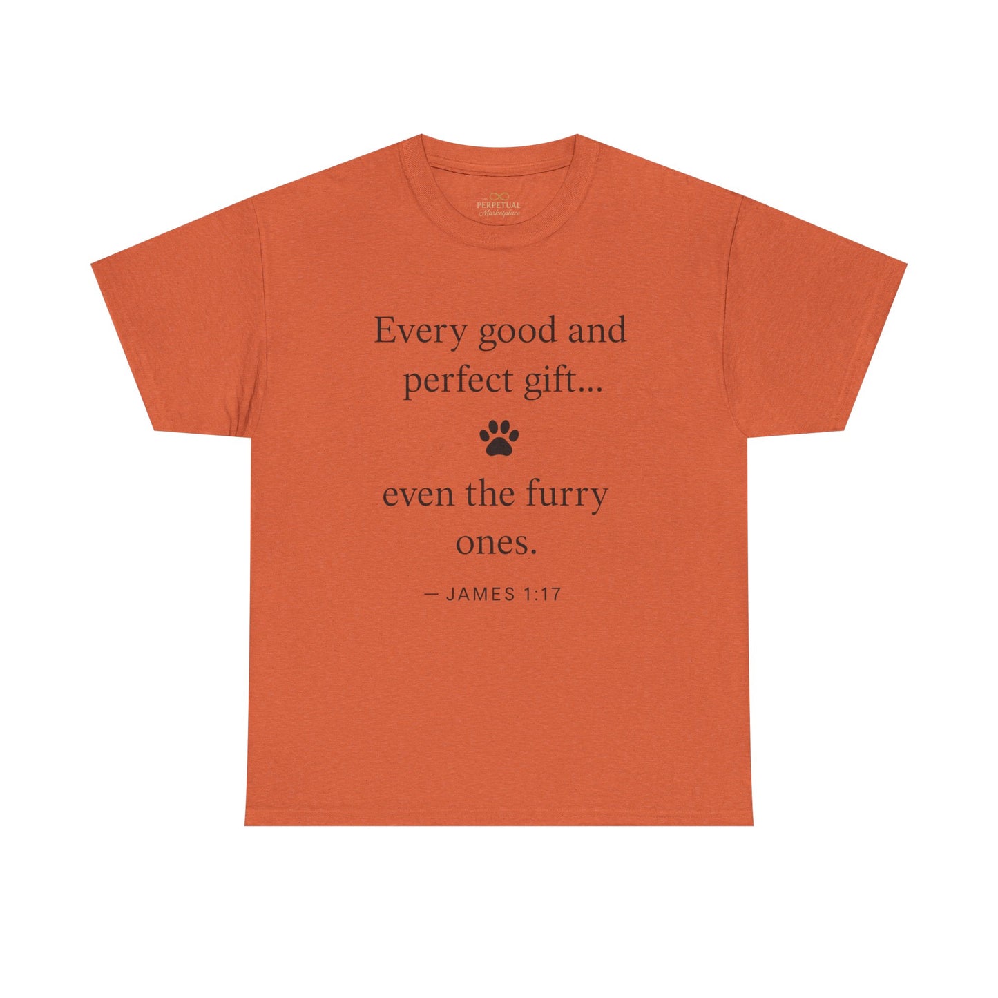Every Good and Perfect Gift Pet Lover Shirt | James 1:17 Bible Verse Tee