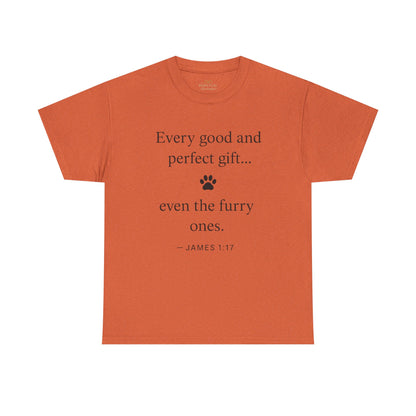 Every Good and Perfect Gift Pet Lover Shirt | James 1:17 Bible Verse Tee