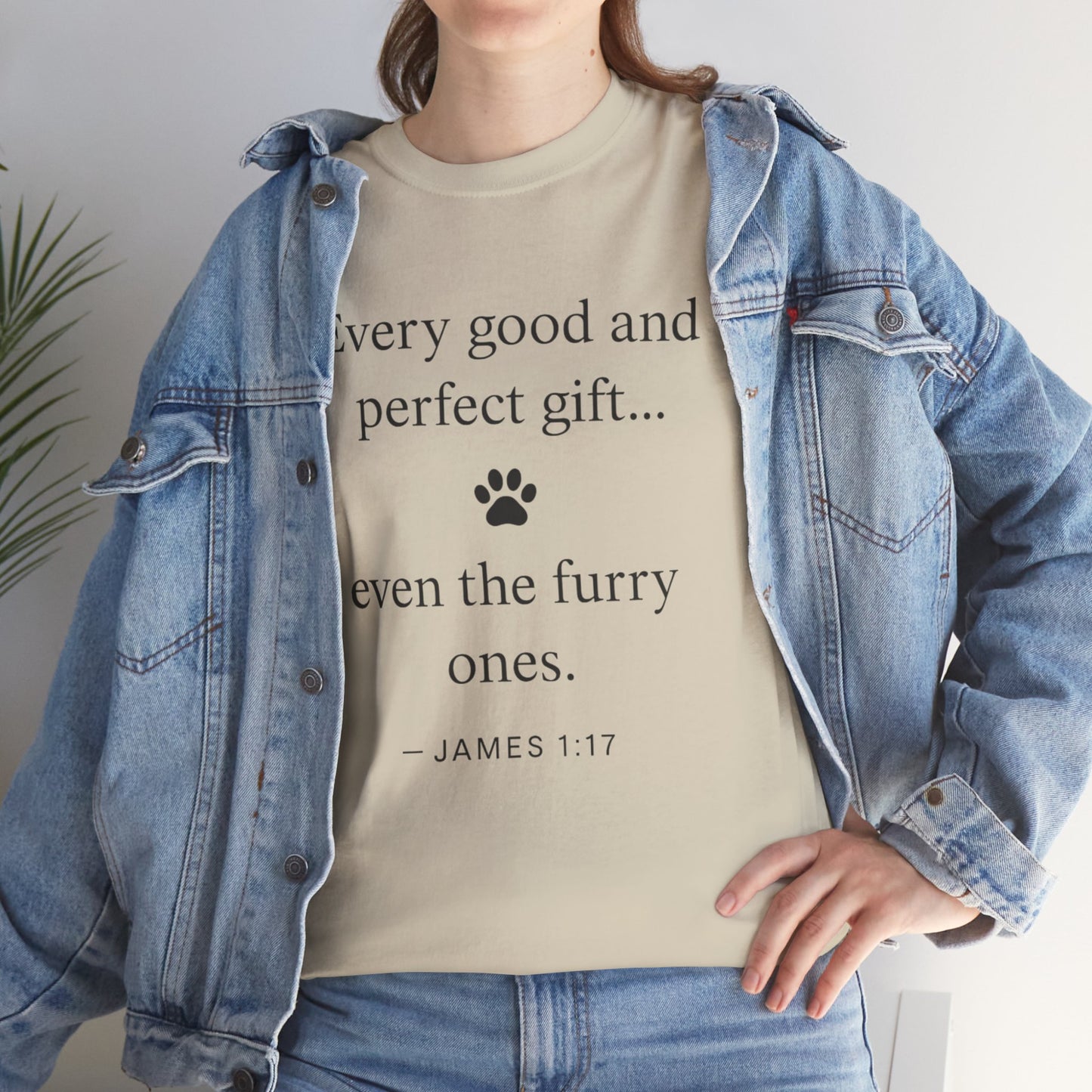 Every Good and Perfect Gift Pet Lover Shirt | James 1:17 Bible Verse Tee