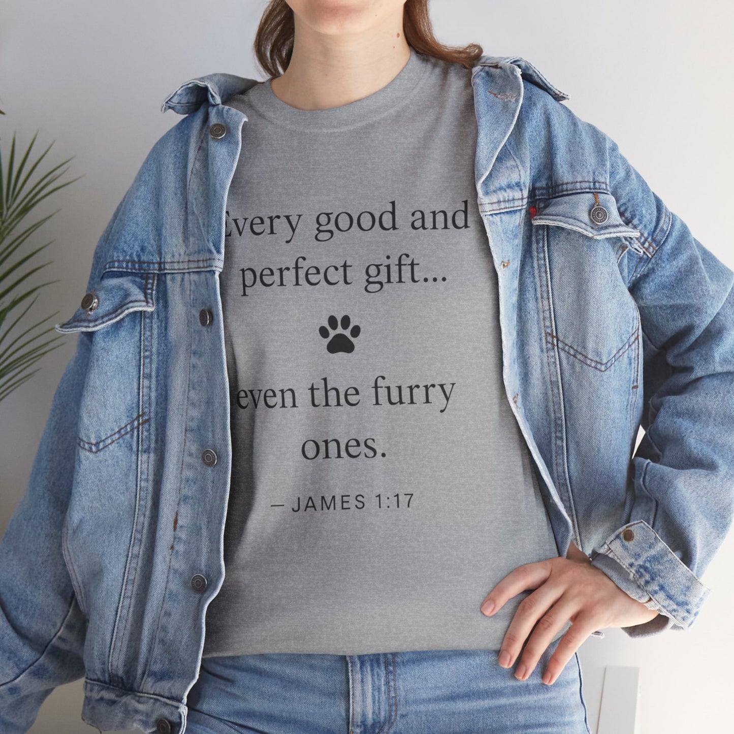 Every Good and Perfect Gift Pet Lover Shirt | James 1:17 Bible Verse Tee