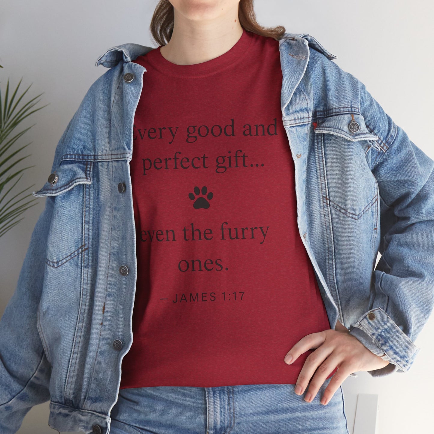 Every Good and Perfect Gift Pet Lover Shirt | James 1:17 Bible Verse Tee