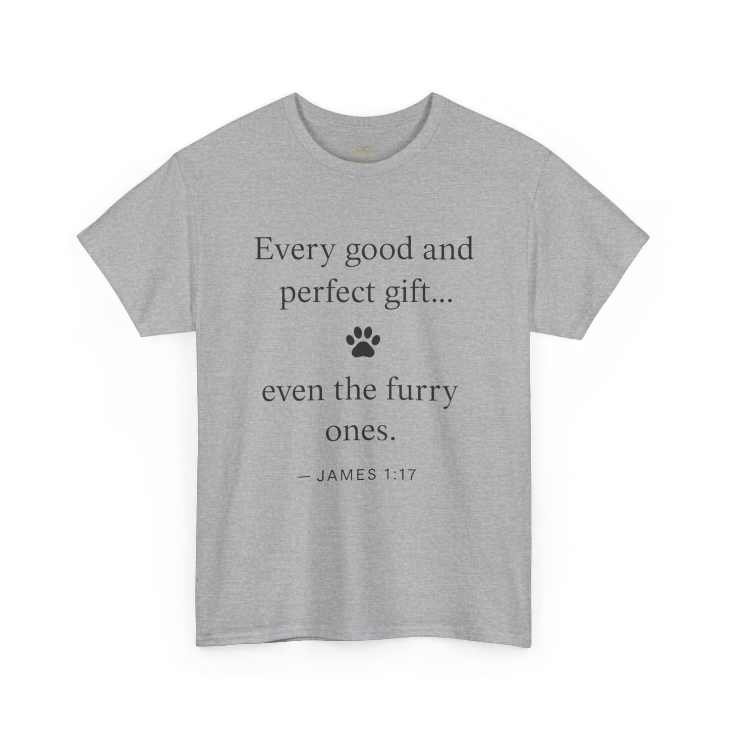Every Good and Perfect Gift Pet Lover Shirt | James 1:17 Bible Verse Tee