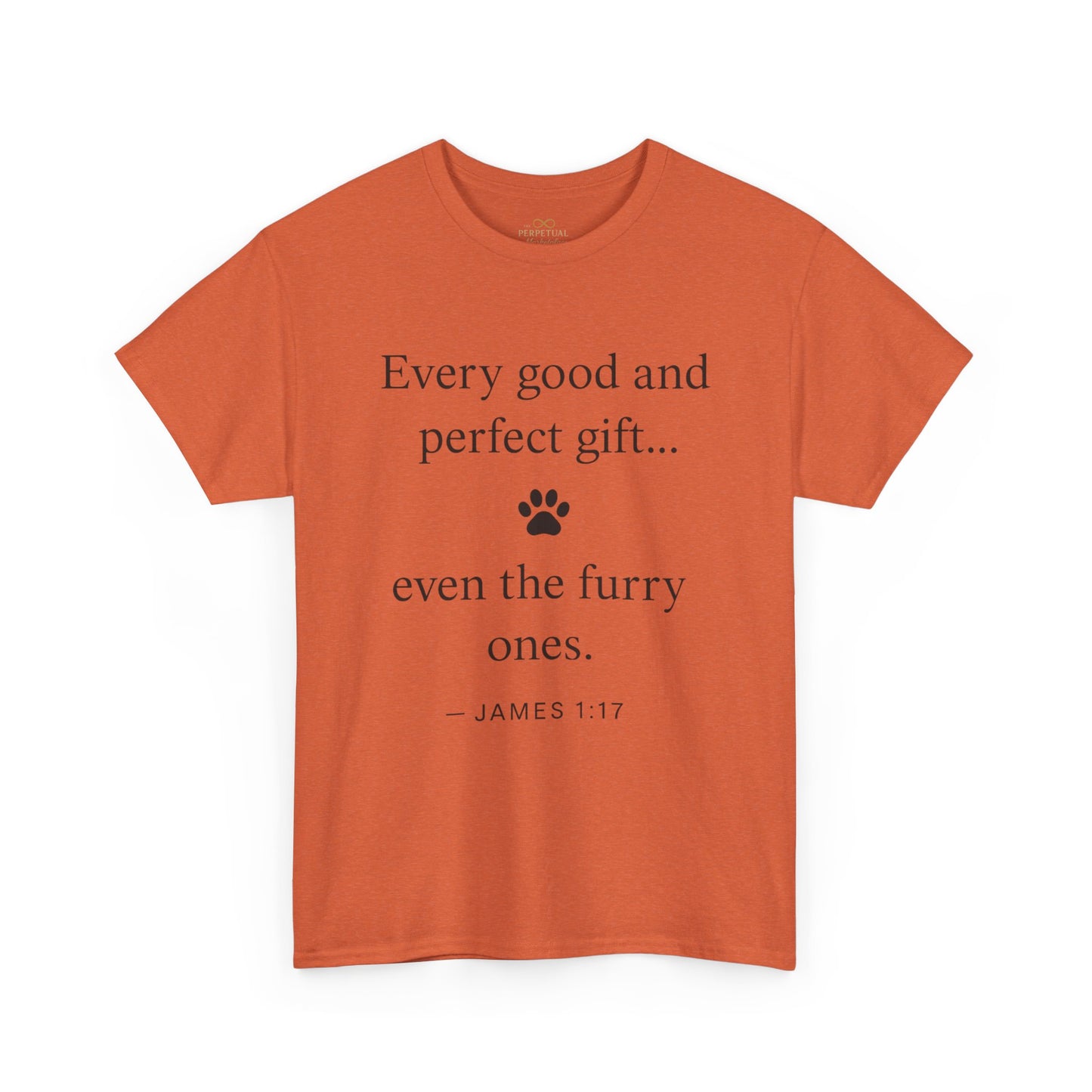 Every Good and Perfect Gift Pet Lover Shirt | James 1:17 Bible Verse Tee