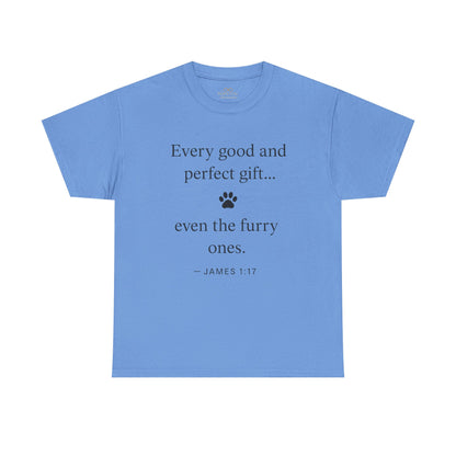 Every Good and Perfect Gift Pet Lover Shirt | James 1:17 Bible Verse Tee