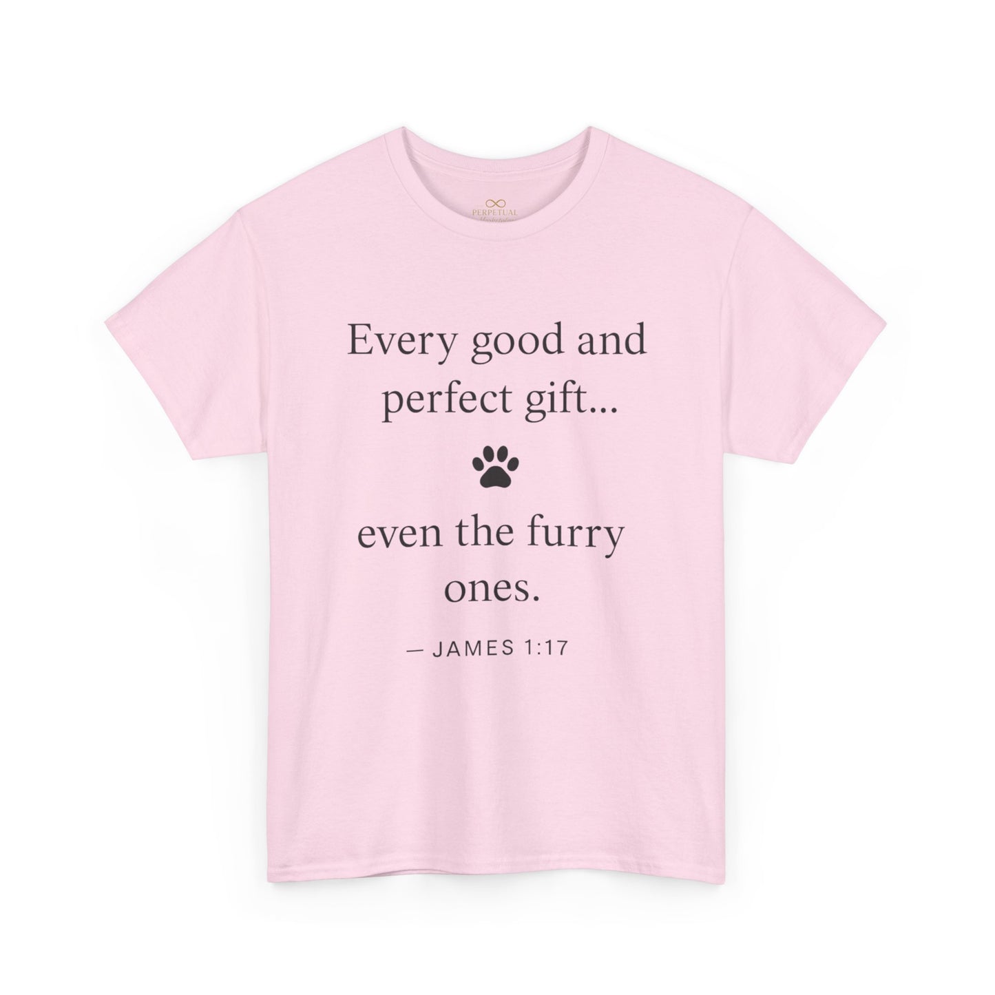 Every Good and Perfect Gift Pet Lover Shirt | James 1:17 Bible Verse Tee