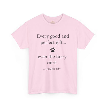 Every Good and Perfect Gift Pet Lover Shirt | James 1:17 Bible Verse Tee