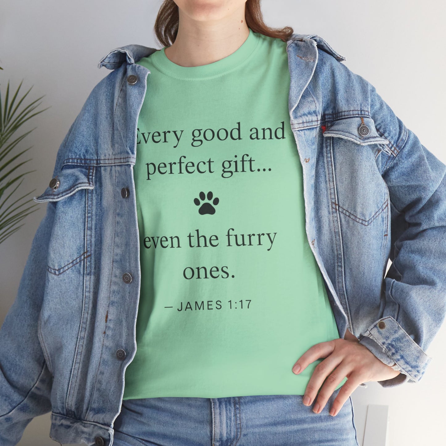 Every Good and Perfect Gift Pet Lover Shirt | James 1:17 Bible Verse Tee