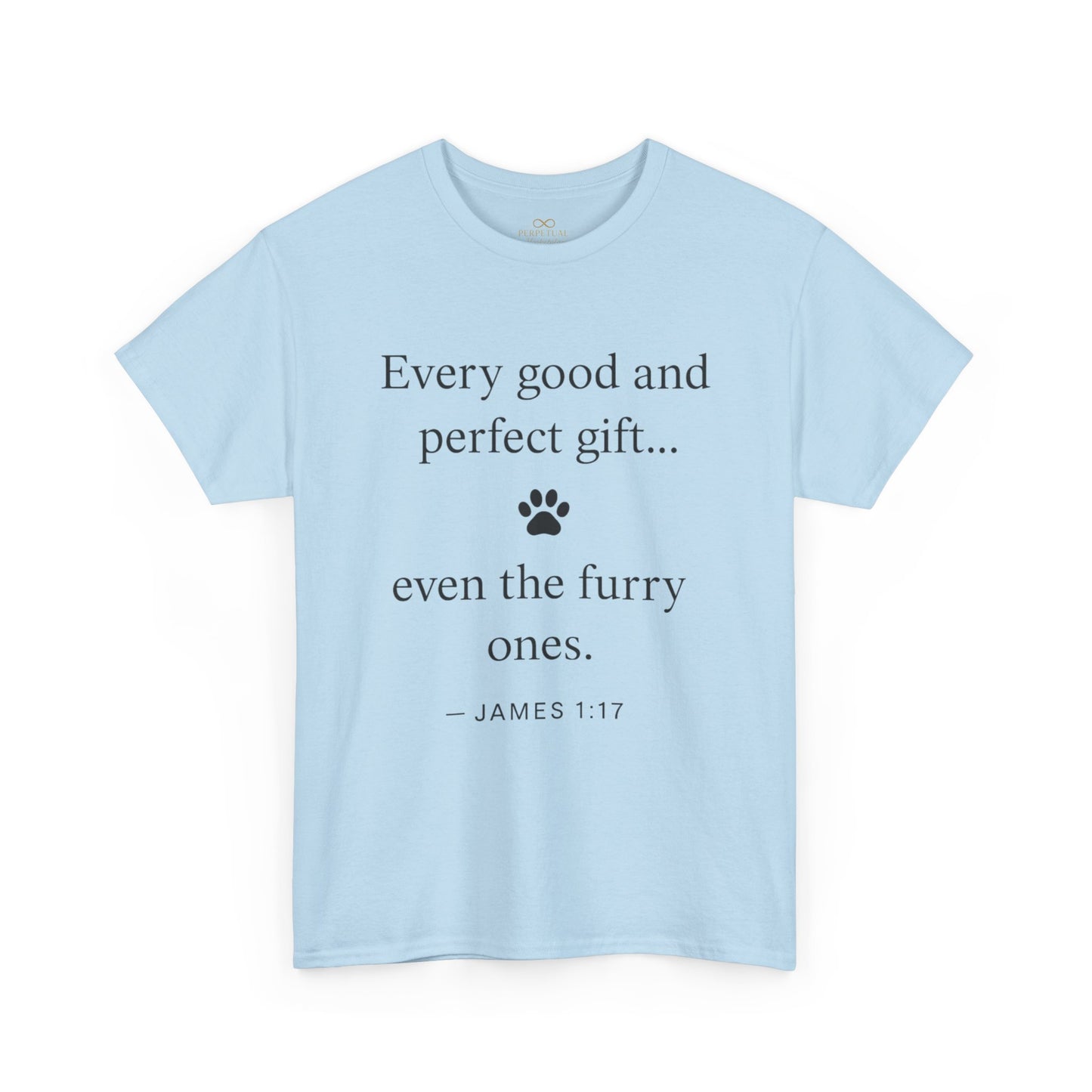 Every Good and Perfect Gift Pet Lover Shirt | James 1:17 Bible Verse Tee