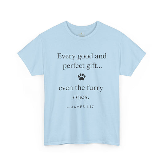 Every Good and Perfect Gift Pet Lover Shirt | James 1:17 Bible Verse Tee