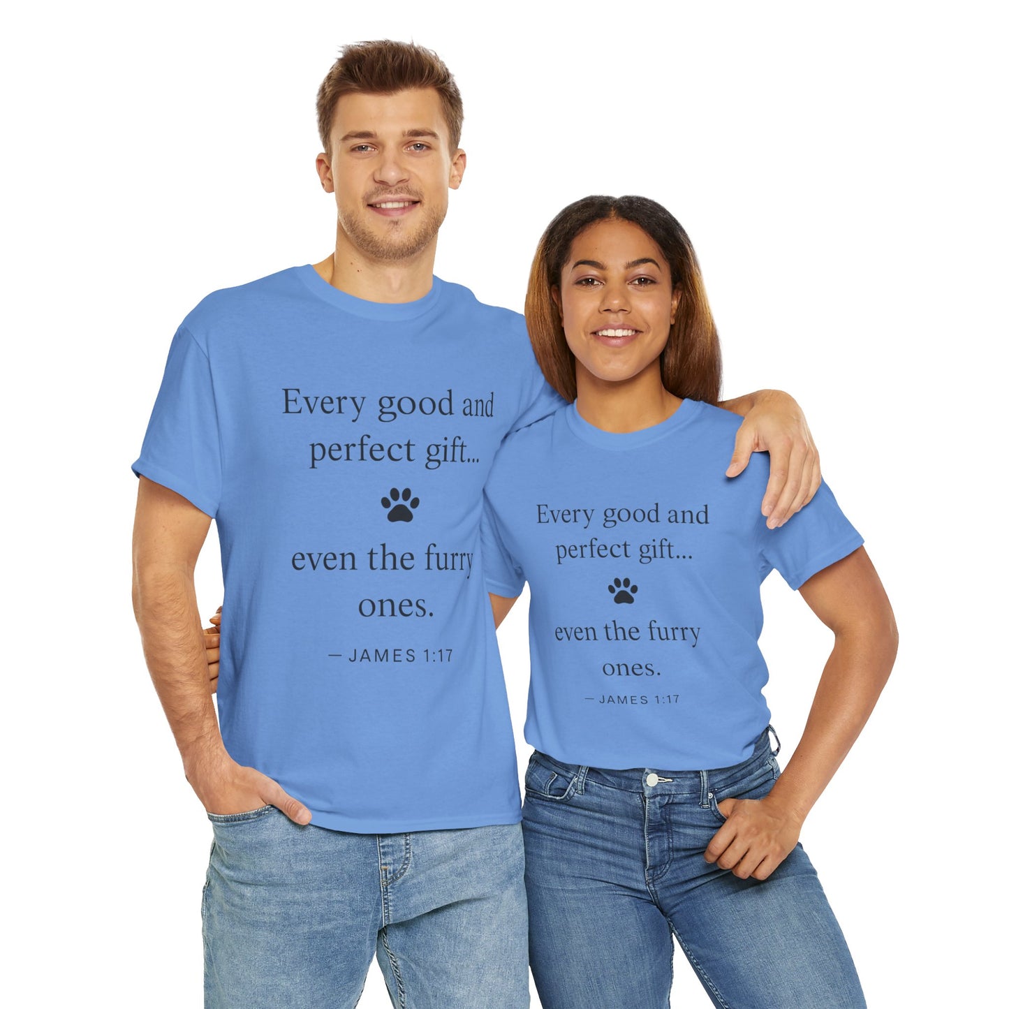 Every Good and Perfect Gift Pet Lover Shirt | James 1:17 Bible Verse Tee