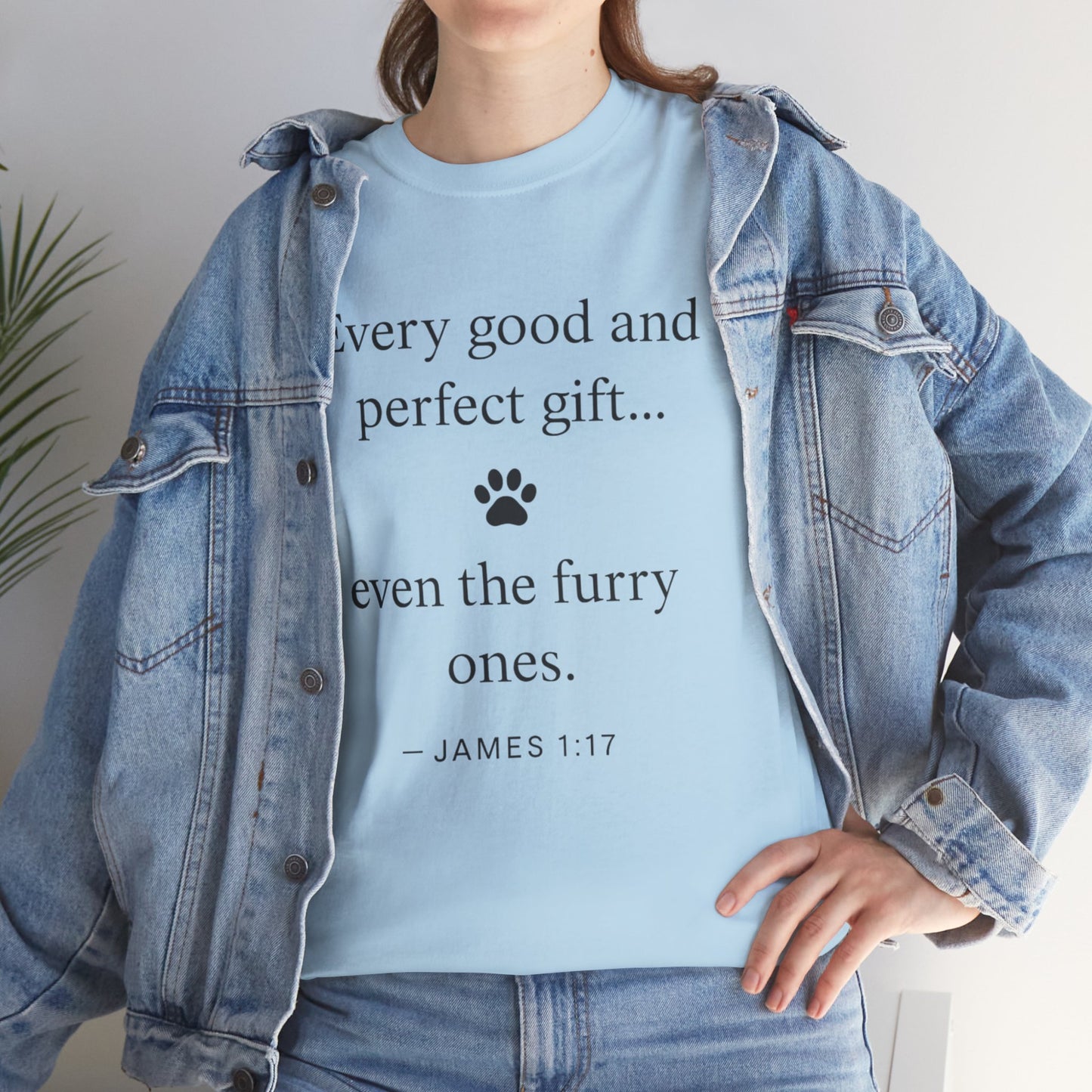 Every Good and Perfect Gift Pet Lover Shirt | James 1:17 Bible Verse Tee