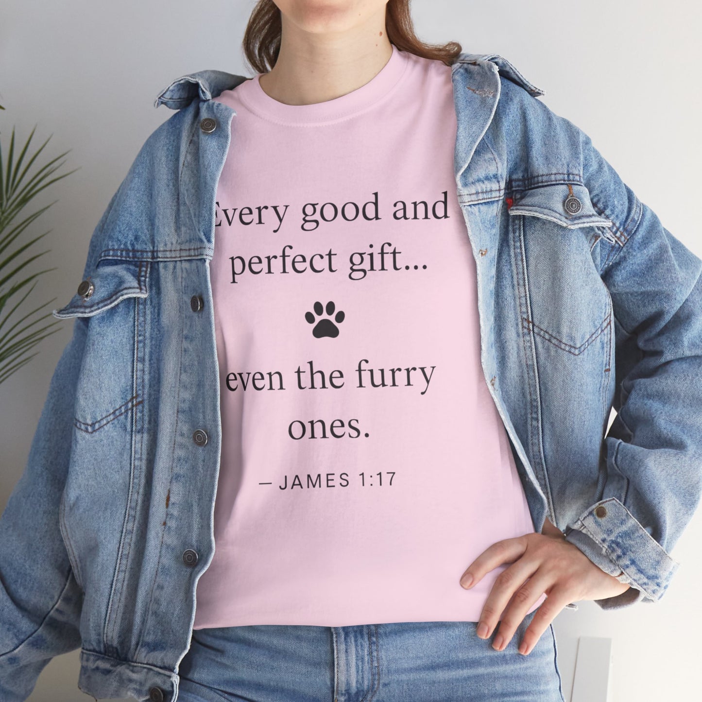 Every Good and Perfect Gift Pet Lover Shirt | James 1:17 Bible Verse Tee
